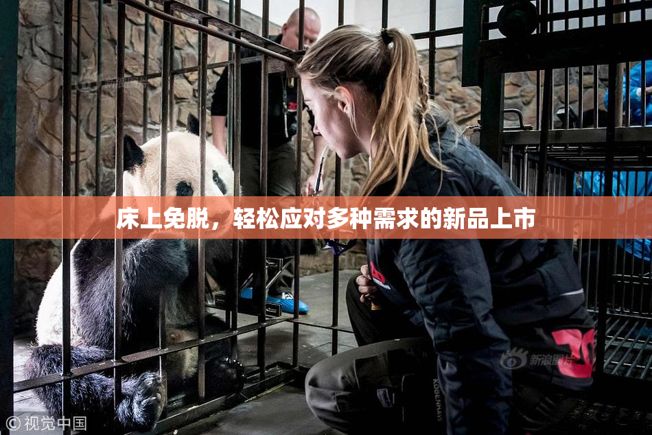 床上免脱，轻松应对多种需求的新品上市