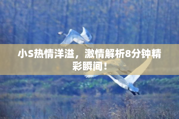 小S热情洋溢，激情解析8分钟精彩瞬间！