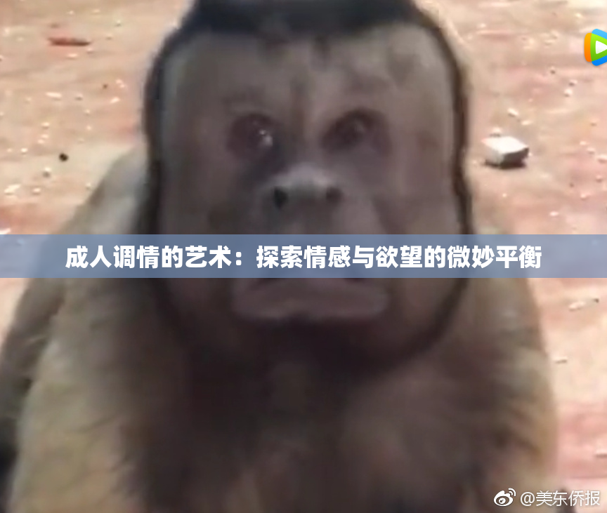 成人调情的艺术：探索情感与欲望的微妙平衡