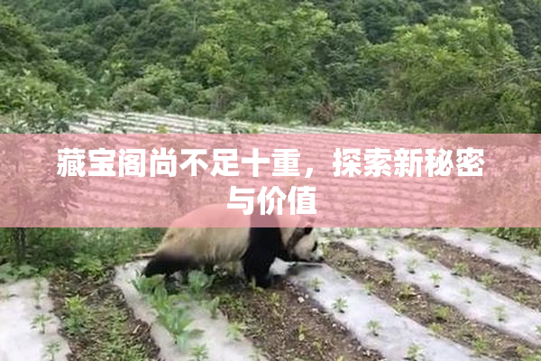 藏宝阁尚不足十重，探索新秘密与价值