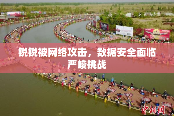 锐锐被网络攻击，数据安全面临严峻挑战