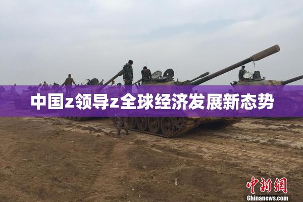 中国z领导z全球经济发展新态势