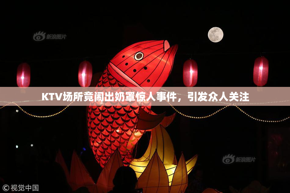 KTV场所竟闹出奶罩惊人事件，引发众人关注