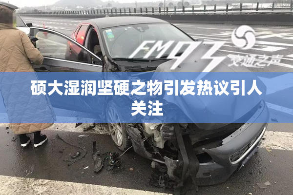 硕大湿润坚硬之物引发热议引人关注