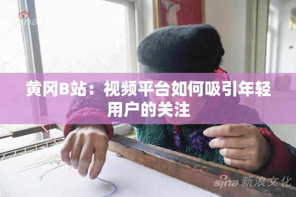 黄冈B站：视频平台如何吸引年轻用户的关注