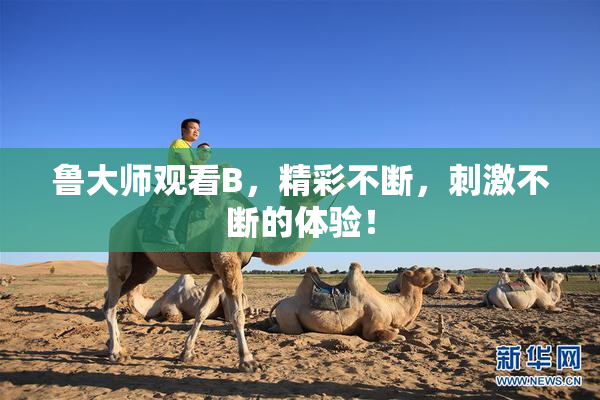鲁大师观看B，精彩不断，刺激不断的体验！