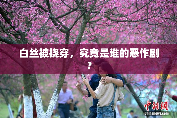 白丝被挠穿，究竟是谁的恶作剧？