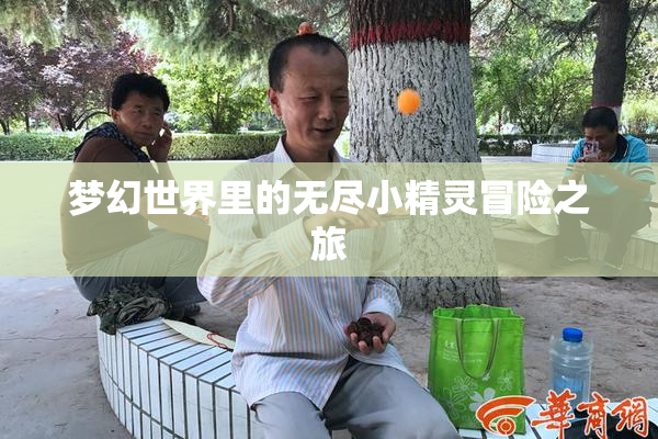 梦幻世界里的无尽小精灵冒险之旅