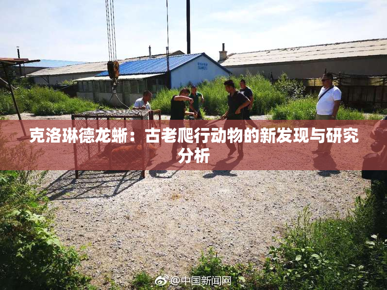 克洛琳德龙蜥：古老爬行动物的新发现与研究分析