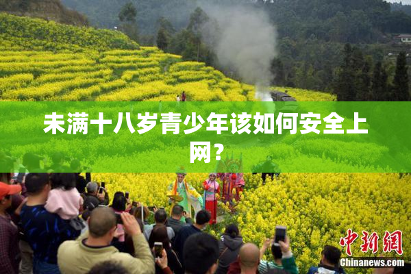 未满十八岁青少年该如何安全上网？