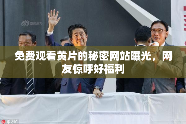 免费观看黄片的秘密网站曝光，网友惊呼好福利