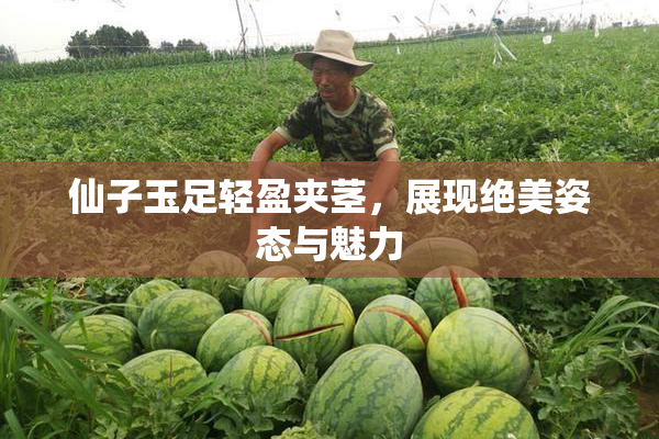仙子玉足轻盈夹茎，展现绝美姿态与魅力
