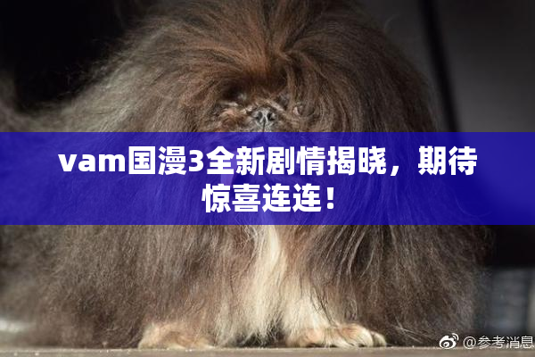 vam国漫3全新剧情揭晓，期待惊喜连连！