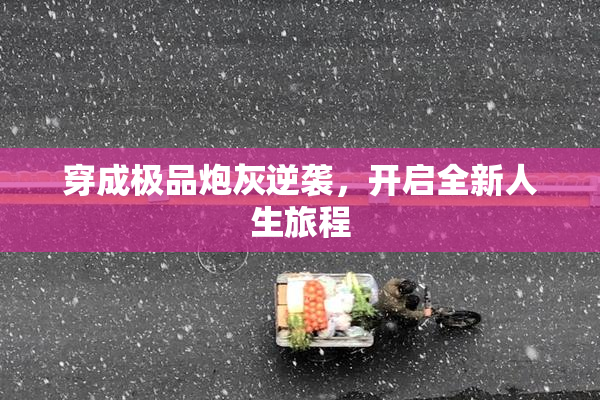 穿成极品炮灰逆袭，开启全新人生旅程