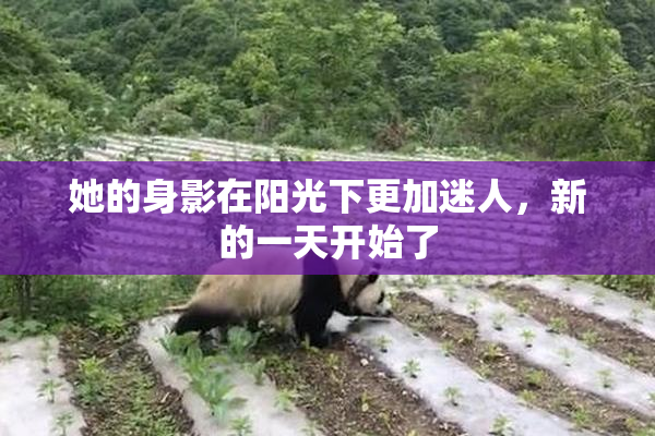 她的身影在阳光下更加迷人，新的一天开始了