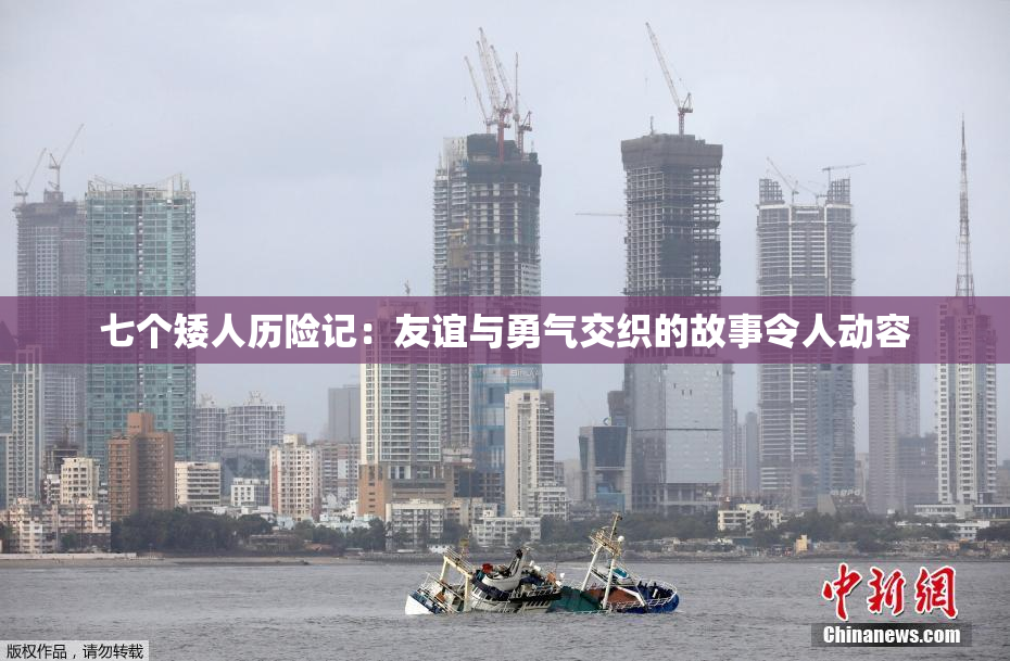 七个矮人历险记：友谊与勇气交织的故事令人动容