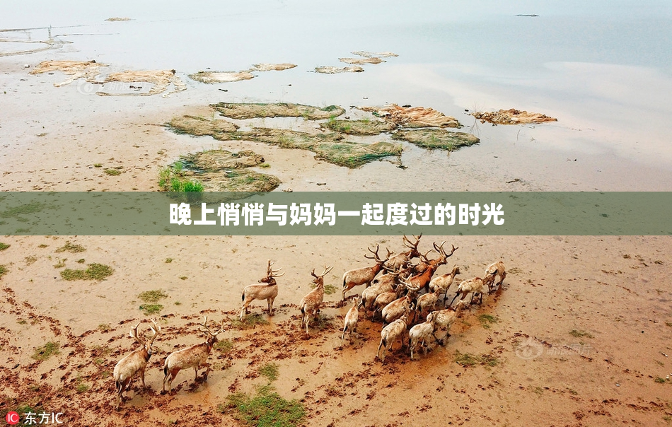 晚上悄悄与妈妈一起度过的时光