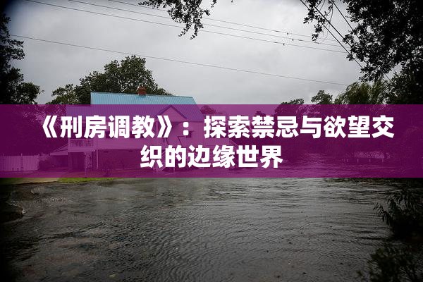 《刑房调教》：探索禁忌与欲望交织的边缘世界