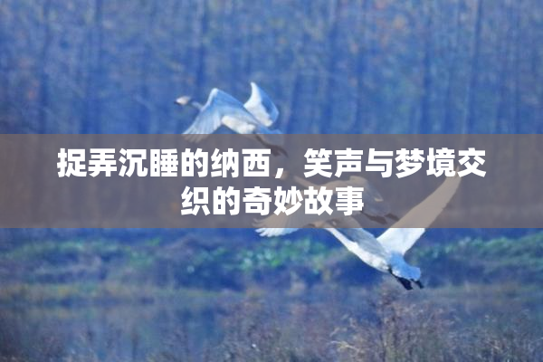 捉弄沉睡的纳西，笑声与梦境交织的奇妙故事