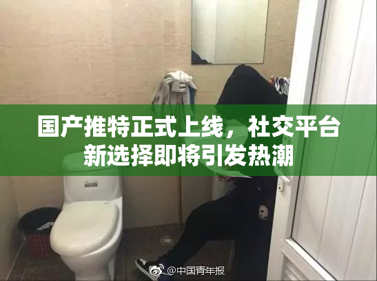 国产推特正式上线，社交平台新选择即将引发热潮