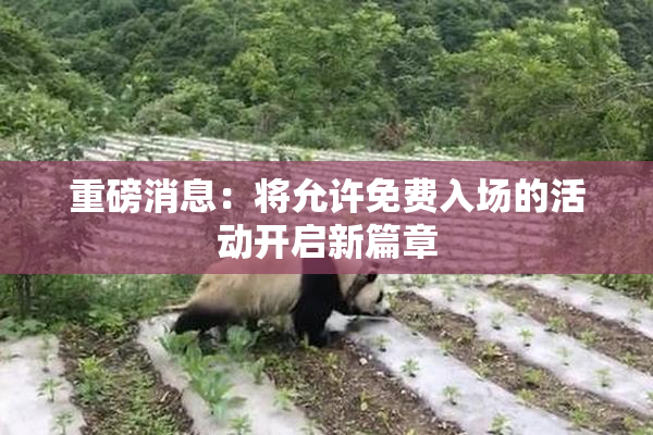 重磅消息：将允许免费入场的活动开启新篇章