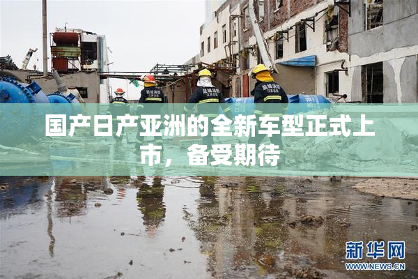 国产日产亚洲的全新车型正式上市，备受期待
