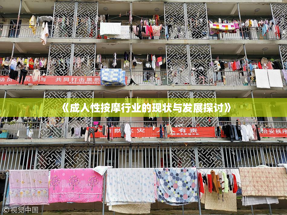 《成人性按摩行业的现状与发展探讨》