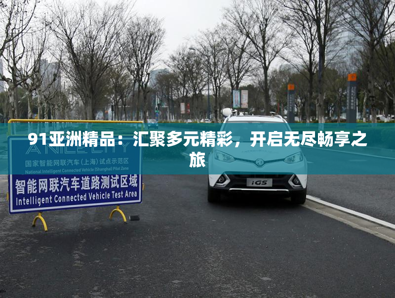 91亚洲精品：汇聚多元精彩，开启无尽畅享之旅