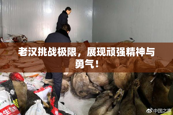 老汉挑战极限，展现顽强精神与勇气！