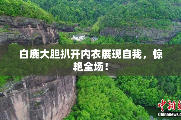 白鹿大胆扒开内衣展现自我，惊艳全场！