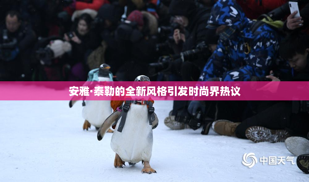 安雅·泰勒的全新风格引发时尚界热议