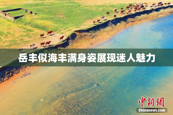 岳丰似海丰满身姿展现迷人魅力