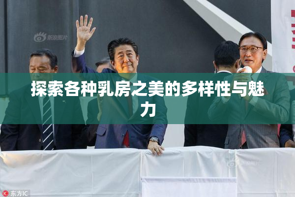 探索各种乳房之美的多样性与魅力