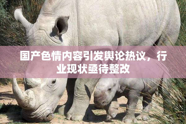 国产色情内容引发舆论热议，行业现状亟待整改