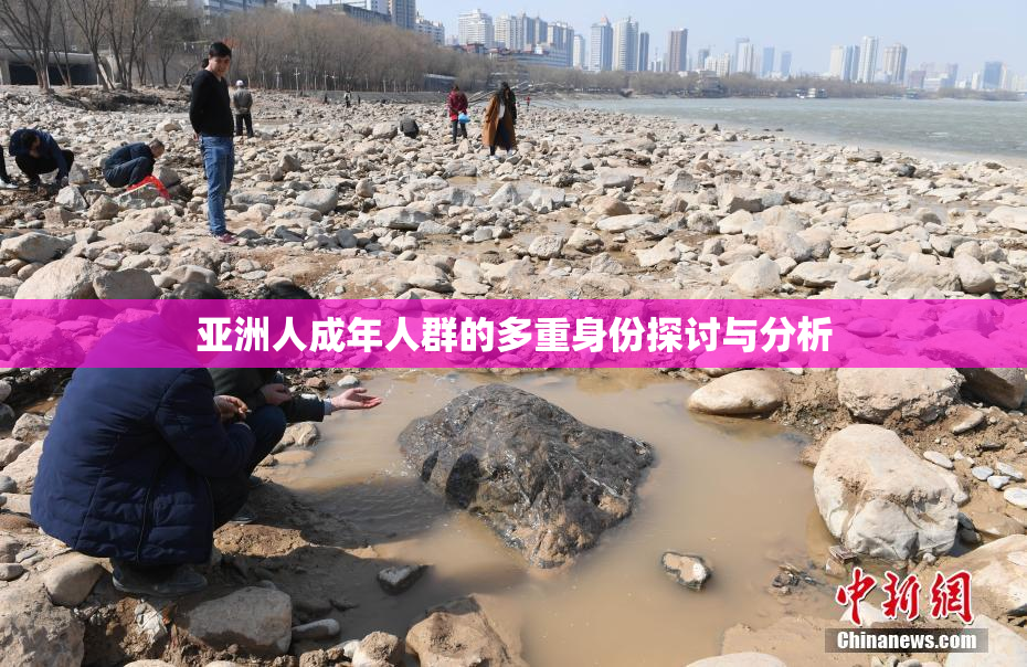 亚洲人成年人群的多重身份探讨与分析