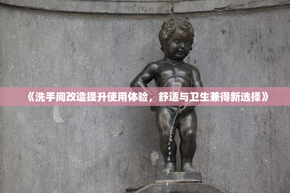 《洗手间改造提升使用体验，舒适与卫生兼得新选择》