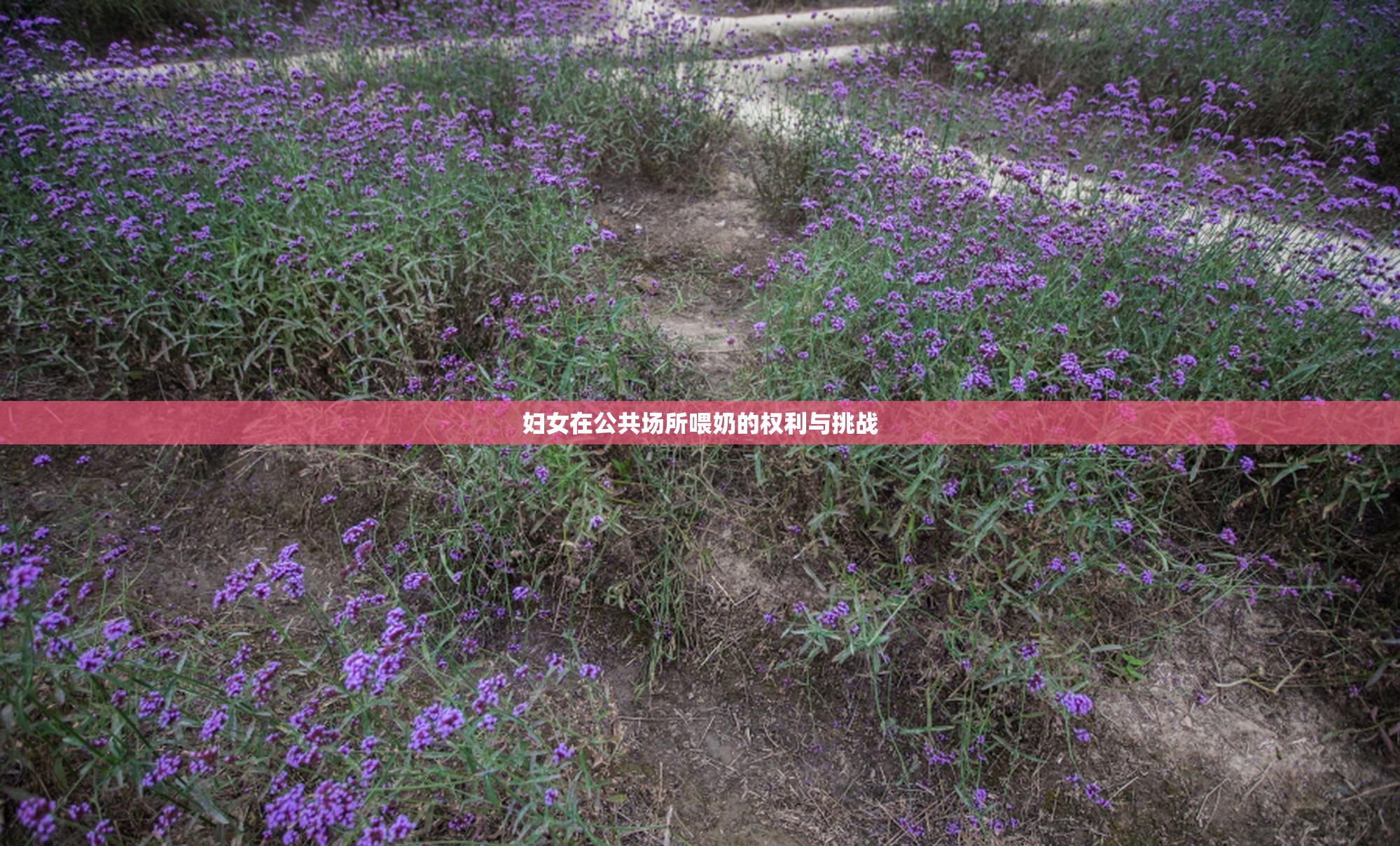 妇女在公共场所喂奶的权利与挑战