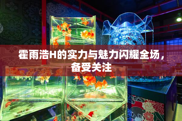 霍雨浩H的实力与魅力闪耀全场，备受关注