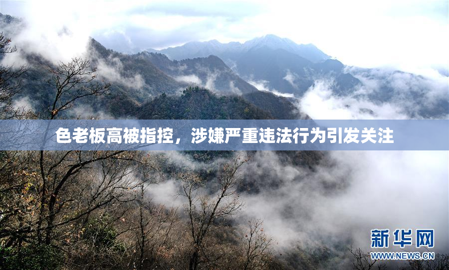 色老板高被指控，涉嫌严重违法行为引发关注