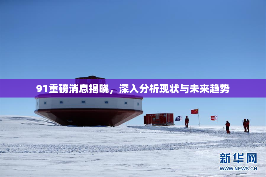 91重磅消息揭晓，深入分析现状与未来趋势
