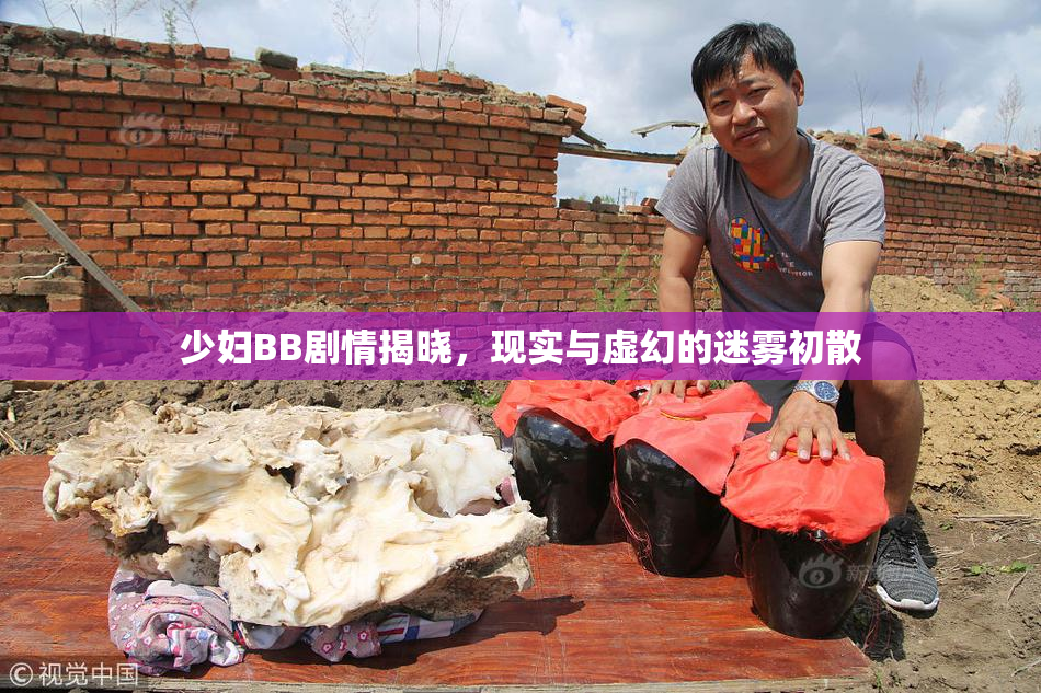 少妇BB剧情揭晓，现实与虚幻的迷雾初散