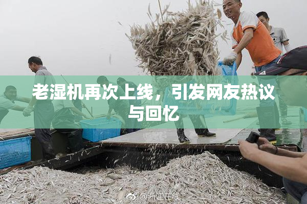 老湿机再次上线，引发网友热议与回忆