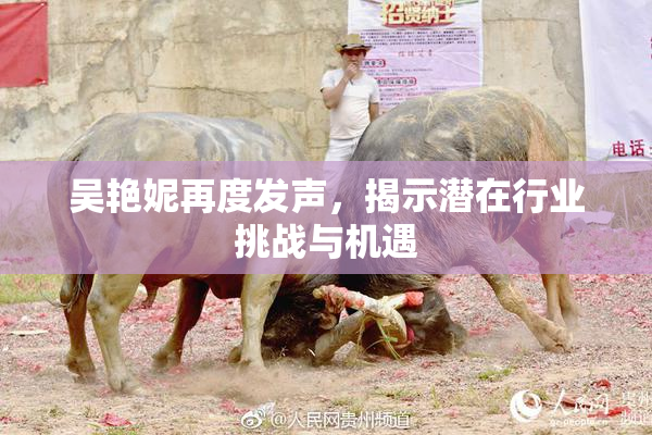 吴艳妮再度发声，揭示潜在行业挑战与机遇