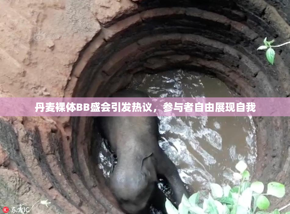 丹麦裸体BB盛会引发热议，参与者自由展现自我
