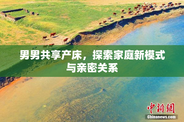 男男共享产床，探索家庭新模式与亲密关系