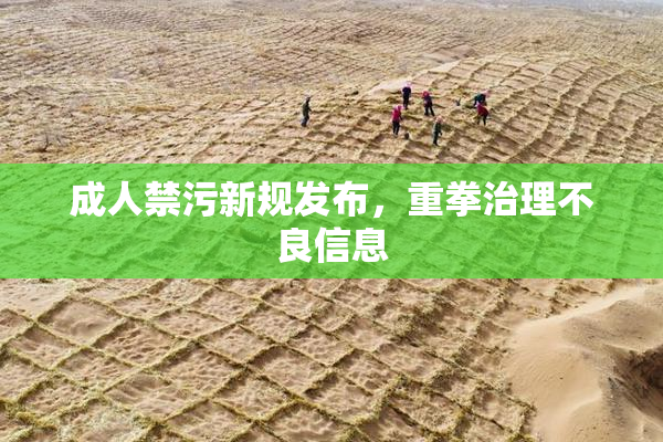 成人禁污新规发布，重拳治理不良信息