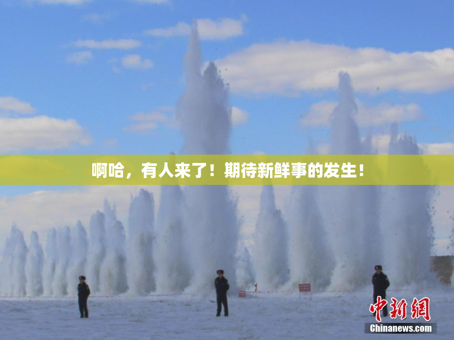 啊哈，有人来了！期待新鲜事的发生！