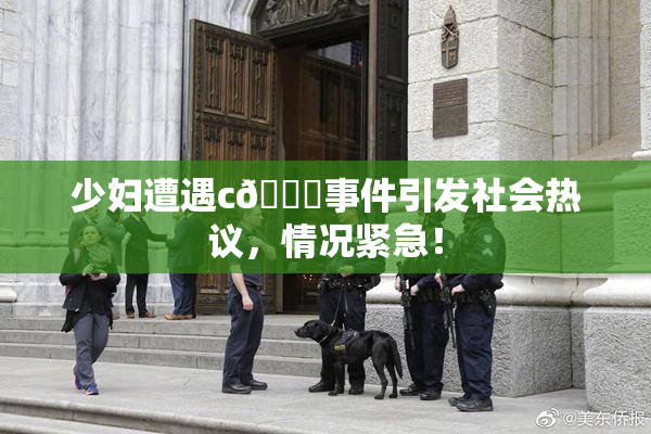 少妇遭遇c🔞事件引发社会热议，情况紧急！