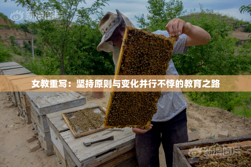 女教重写：坚持原则与变化并行不悖的教育之路
