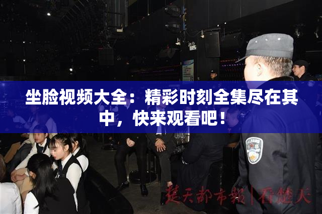 坐脸视频大全：精彩时刻全集尽在其中，快来观看吧！